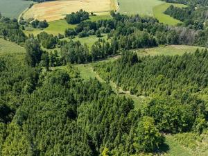 Prodej pozemku pro bydlení, Choustník, 114846 m2