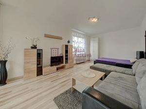 Pronájem bytu 1+1, Jindřichův Hradec, sídliště Vajgar, 53 m2