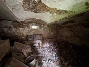 Prodej zemědělské usedlosti, Trhové Sviny, 225 m2