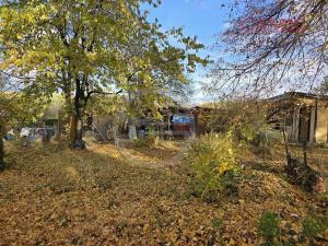 Prodej zahrady, Františkovy Lázně, 405 m2