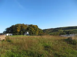 Dražba louky, Březnice, 6503 m2