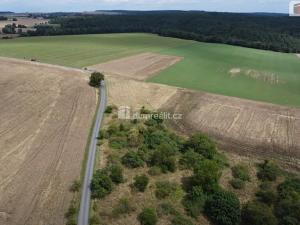 Prodej pozemku, Sýkořice, 3943 m2