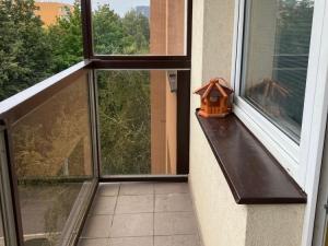 Prodej bytu 3+1, Jičín, Nám. V. Čtvrtka, 65 m2