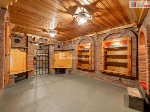 Prodej obchodního prostoru, Mladá Boleslav - Mladá Boleslav III, Viničná, 107 m2