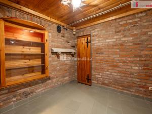 Prodej obchodního prostoru, Mladá Boleslav - Mladá Boleslav III, Viničná, 107 m2