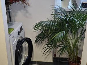 Pronájem bytu 2+1, Olomouc, Polská, 55 m2