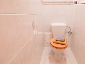 Prodej rodinného domu, Mladá Boleslav - Mladá Boleslav III, Viničná, 350 m2