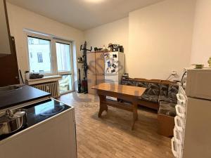 Pronájem bytu 1+1, Brno - Staré Brno, Nové sady, 48 m2