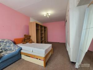 Pronájem bytu 2+1, Sokolov, Závodu míru, 55 m2