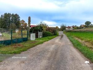 Prodej pozemku pro bydlení, Štěnovický Borek, 1500 m2