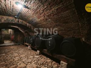 Prodej historického objektu, Mikulov, Na Jámě, 361 m2