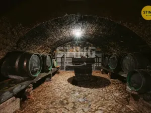 Prodej historického objektu, Mikulov, Na Jámě, 361 m2