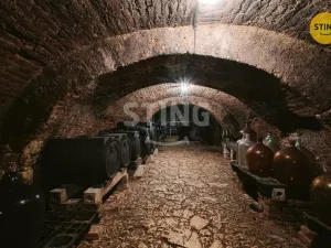 Prodej historického objektu, Mikulov, Na Jámě, 361 m2