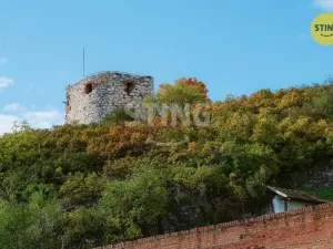 Prodej historického objektu, Mikulov, Na Jámě, 361 m2