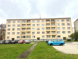 Prodej bytu 2+1, Cheb, Kosmonautů, 51 m2