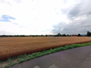 Prodej pozemku pro bydlení, Ostrava, 980 m2