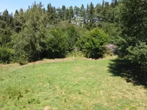 Dražba pole, Strašín, 33898 m2