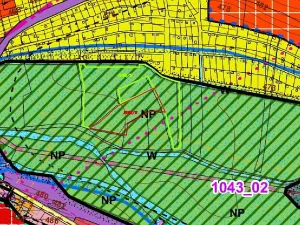 Dražba louky, Tachov, 23048 m2