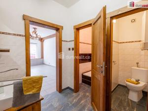 Prodej obchodního prostoru, Mladá Boleslav, Viničná, 107 m2