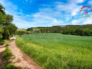 Prodej pozemku pro bydlení, Horní Poříčí, 44042 m2