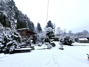 Prodej rodinného domu, Nové Strašecí, Nádražní, 350 m2