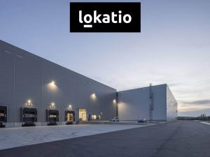 Pronájem skladu, Ostrava, 3404 m2
