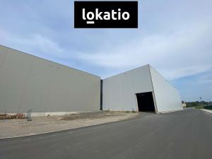 Pronájem výrobních prostor, Ostrava - Hrušov, 5181 m2