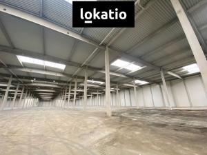 Pronájem výrobních prostor, Ostrava - Hrušov, 10173 m2