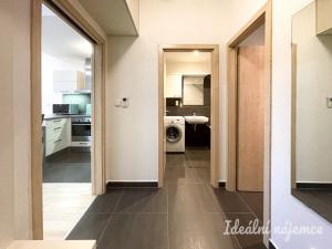 Pronájem bytu 1+kk, Brno, U Leskavy, 34 m2