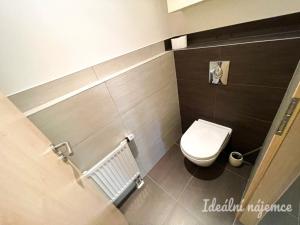 Pronájem bytu 1+kk, Brno, U Leskavy, 34 m2