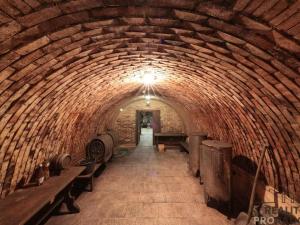 Prodej vinného sklepa, Mutěnice, 120 m2