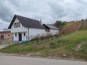 Prodej vinného sklepa, Mutěnice, 120 m2