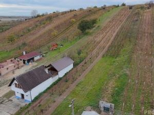 Prodej vinného sklepa, Mutěnice, 120 m2