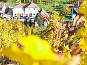 Prodej vinného sklepa, Mutěnice, 120 m2