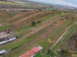 Prodej vinného sklepa, Mutěnice, 120 m2