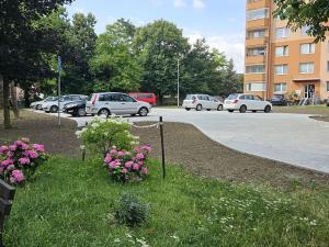 Pronájem bytu 2+1, Kojetín, Nová, 50 m2