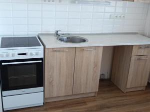 Pronájem bytu 2+1, Chomutov, Holešická, 63 m2