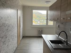 Prodej bytu 3+1, Ústí nad Labem, Jindřicha Plachty, 78 m2