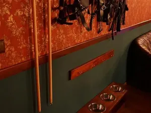 Pronájem rodinného domu, Rozdrojovice, Za Humny, 850 m2