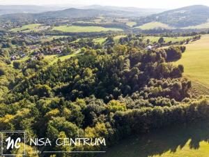 Prodej lesa, Šimonovice, 30343 m2