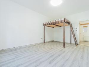 Pronájem bytu 2+kk, Praha - Žižkov, Lucemburská, 53 m2