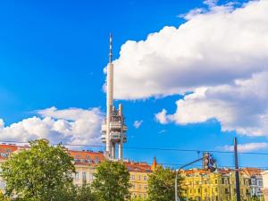 Pronájem bytu 2+kk, Praha - Žižkov, Lucemburská, 53 m2