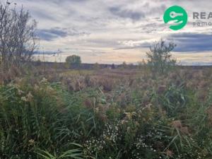 Prodej pole, Dubňany, 2371 m2