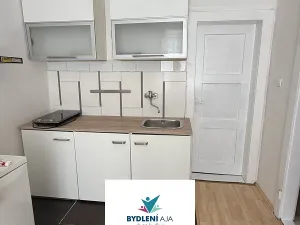 Prodej bytu 1+1, Teplice, Fügnerova, 44 m2