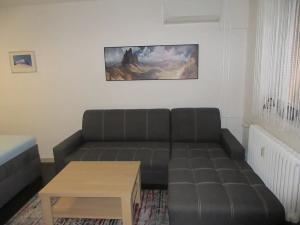 Prodej bytu 1+1, Bílovec, Radotínská, 42 m2