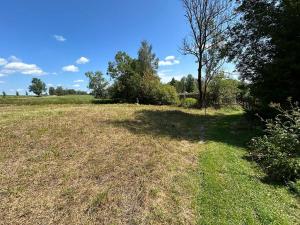 Prodej pozemku pro bydlení, Horní Planá, 4593 m2