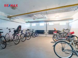 Pronájem bytu 3+1, Nymburk, Jasmínová, 69 m2