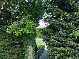 Prodej chalupy, Dlouhý Most, 60 m2