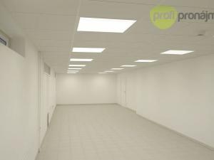 Pronájem skladu, Vyškov, Palánek, 280 m2