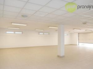 Pronájem skladu, Vyškov, Palánek, 460 m2